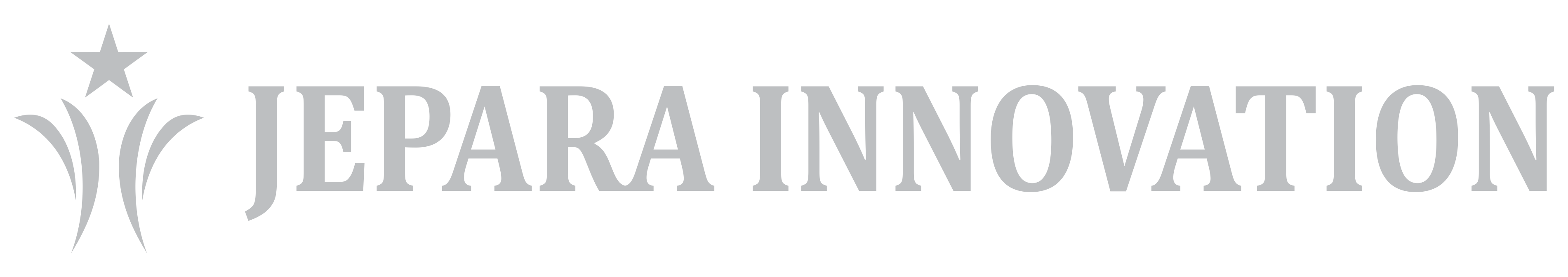 Logo Jepara Innovation